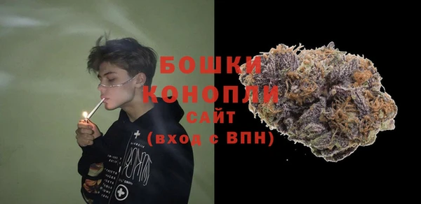 гидра Алексеевка