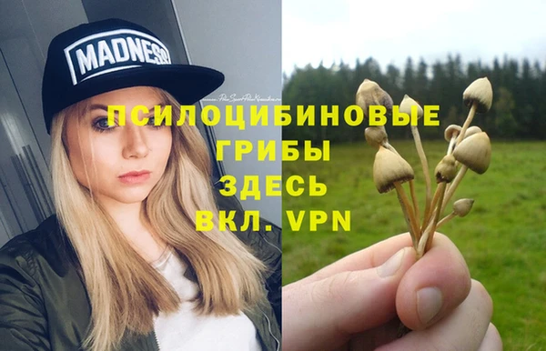 бошки Алзамай
